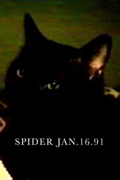 Movie poster for Spider Jan.16.91 (1994)