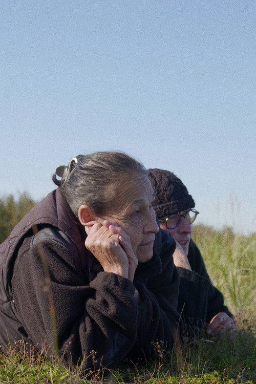 Movie poster for De la rivière à la mer (2019)