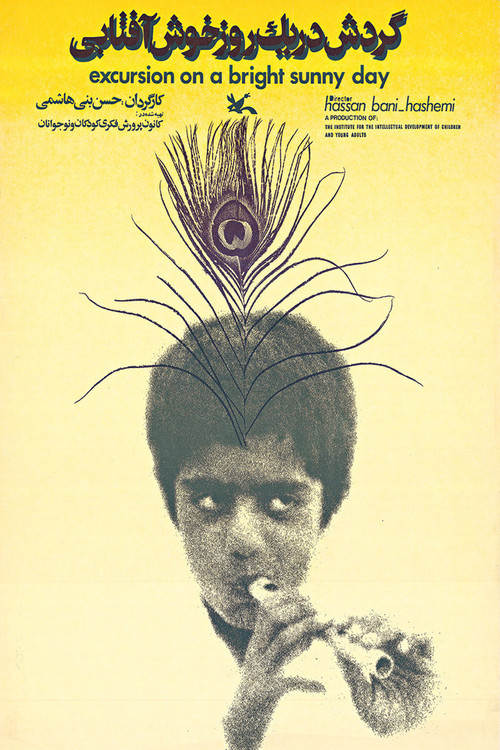 Movie poster for Excursion on a Bright Sunny Day (1974)