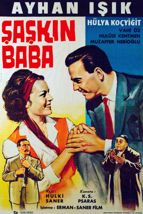 Movie poster for Şaşkın Baba (1963)