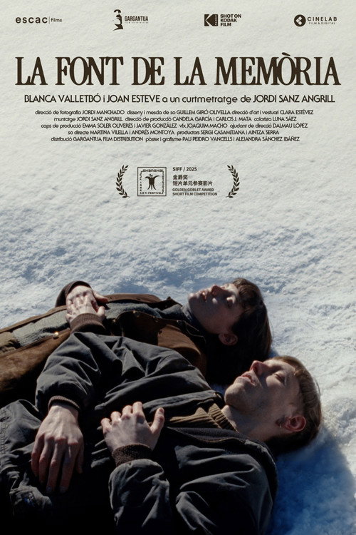 Movie poster for The Fountain of Memory (2025)