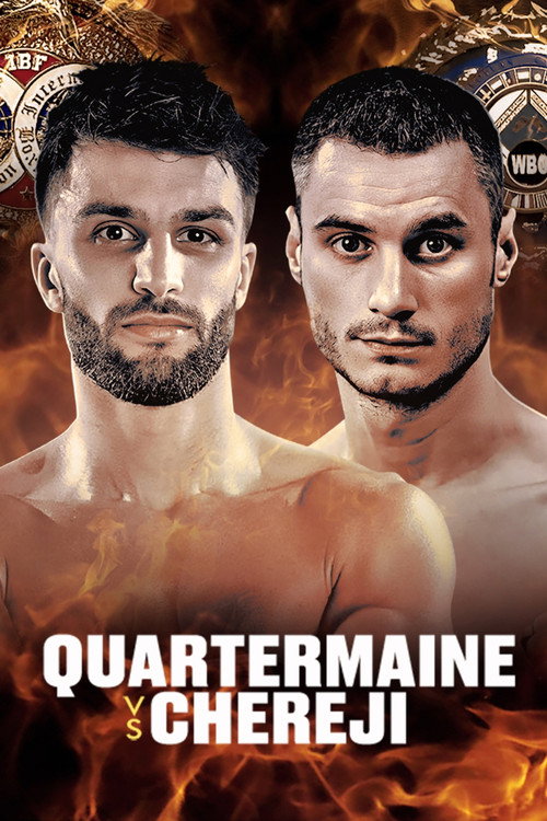 Movie poster for Danny Quartermaine vs. James Chereji (2024)