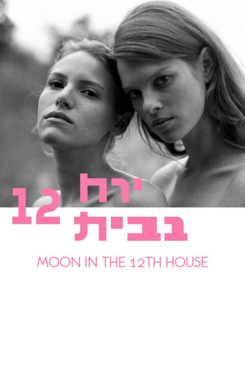 Movie poster for Moon in the 12th House (2015)