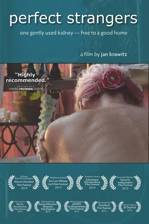 Movie poster for Perfect Strangers (2013)