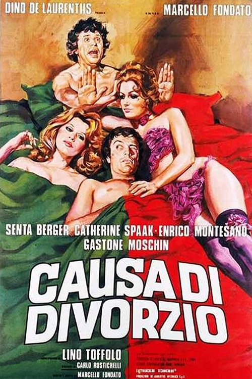 Movie poster for Cause of Divorce (1972)