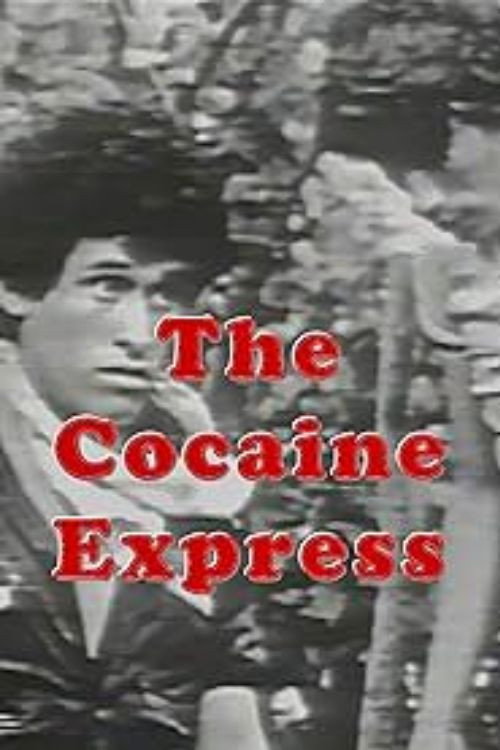 Movie poster for The Cocaine Express (1982)