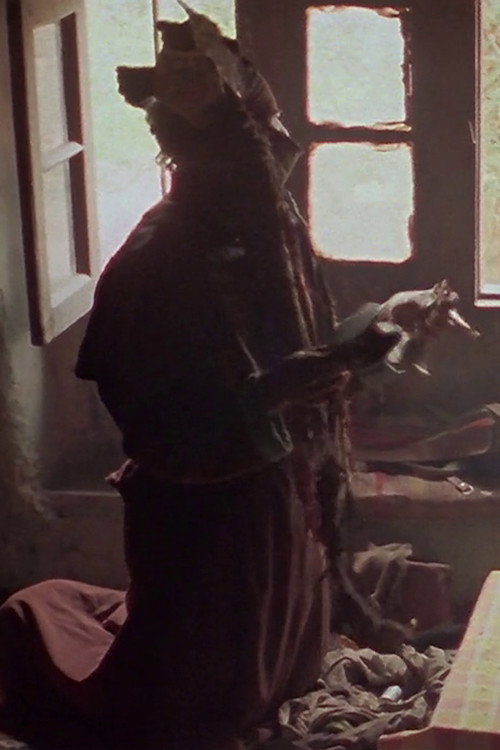 Movie poster for Healing (1978)