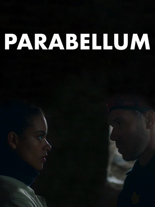 Movie poster for Parabellum (2023)