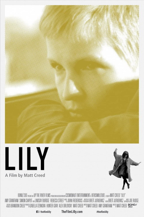 Movie poster for Lily (2013)