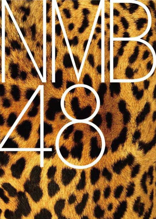 Movie poster for NMB48 - Omowase Kousen (2013)