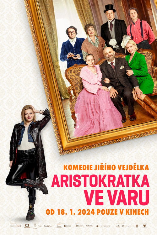 Movie poster for Aristocrat in the Boil (2024)