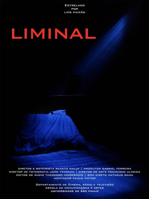 Movie poster for Liminal (2025)