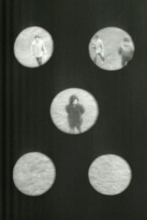 Movie poster for Going Around in Circles (1973)