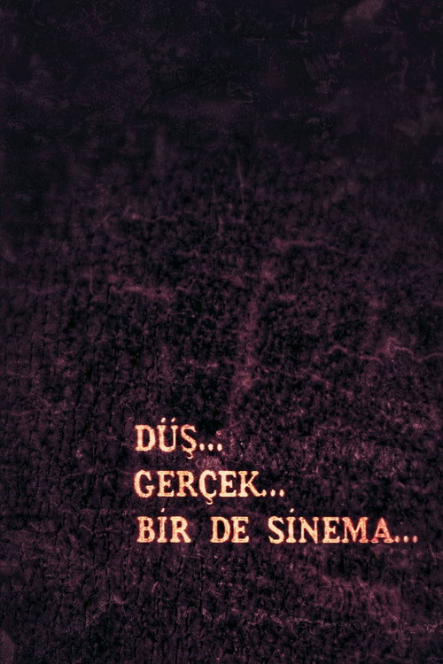 Movie poster for Düş, Gerçek, Bir de Sinema (1995)