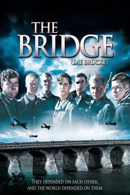 Movie poster for The Bridge (2008)