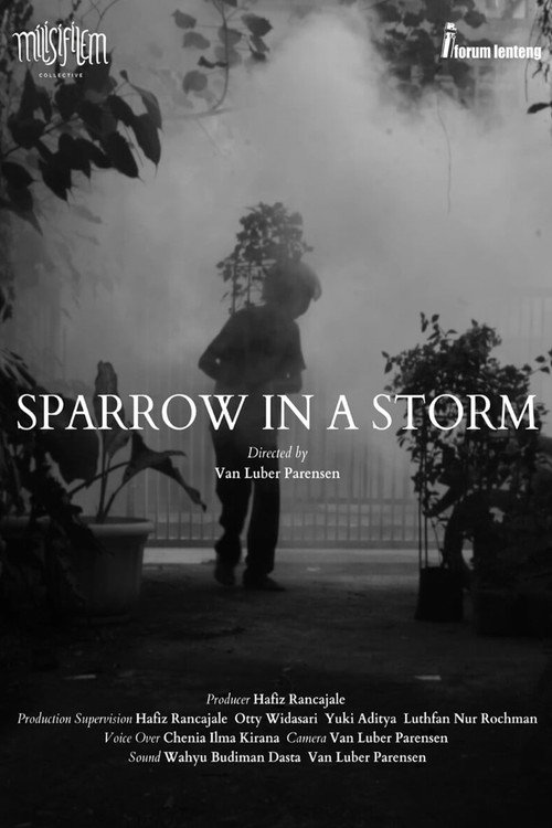 Movie poster for Sparrow in the Storm (2023)