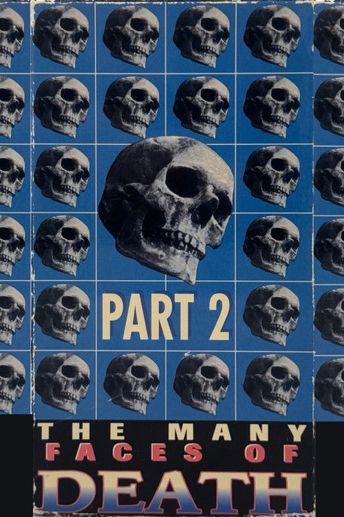 Movie poster for The Many Faces of Death, Part 2 (1995)