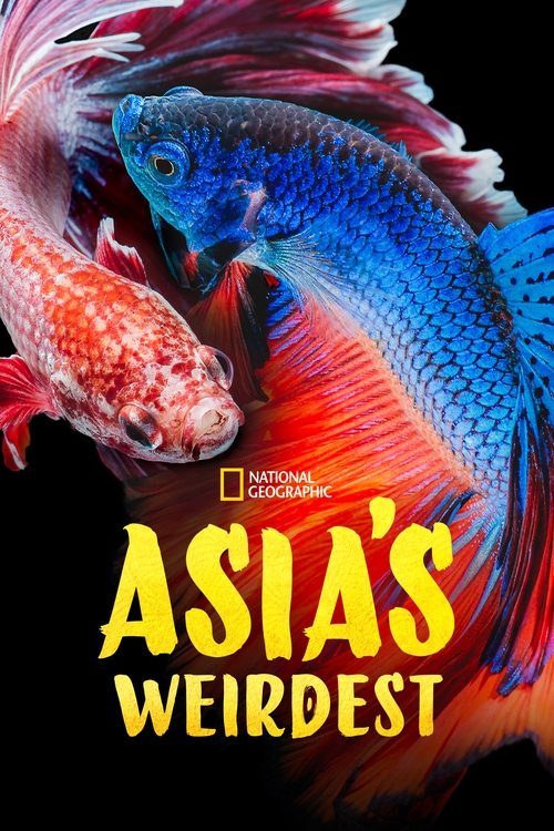 Series poster for Asia's Weirdest (2021)