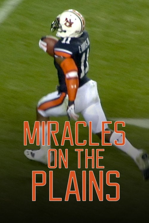 Movie poster for Miracles on the Plains (2015)