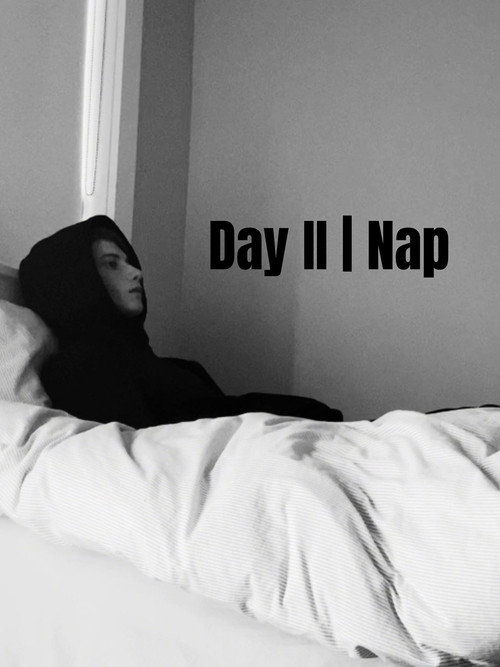 Movie poster for Day Two | Nap (2024)