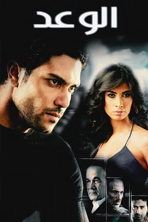 Movie poster for The Promise (2008)