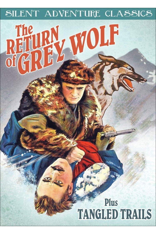 Movie poster for The Return of Grey Wolf (1926)