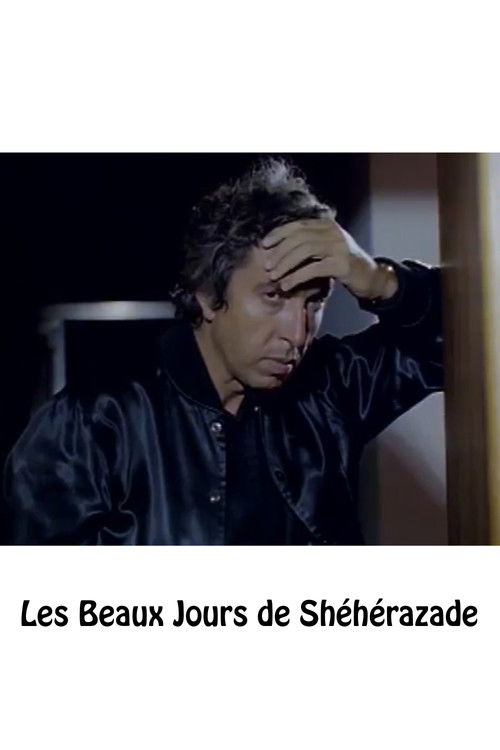 The Beautiful Days of Sheherazade poster
