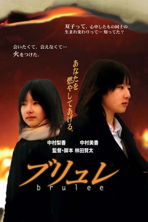 Movie poster for The Burning (2008)
