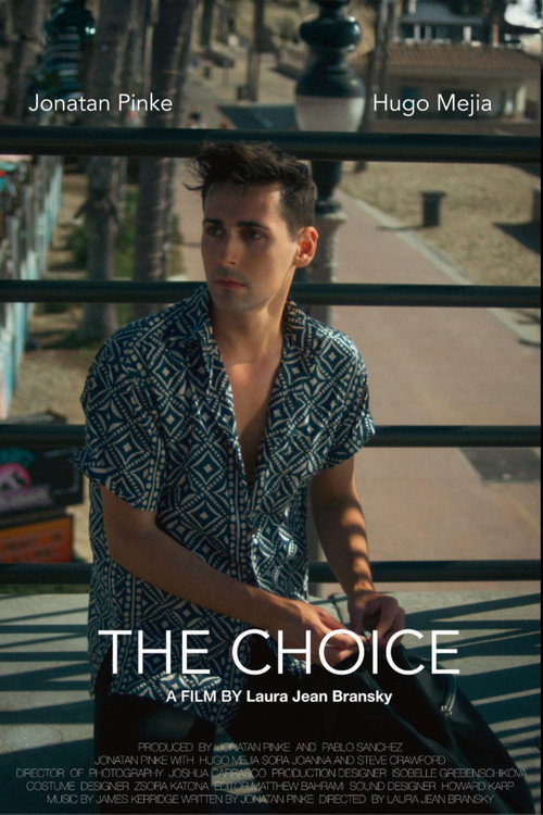 Movie poster for The Choice (2025)