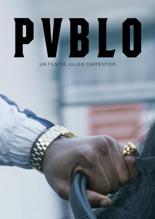 Movie poster for Pvblo (2018)