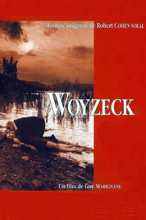 Movie poster for Woyzeck (1993)