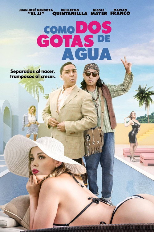 Movie poster for Como dos gotas de agua (2020)