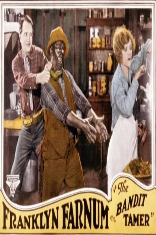 Movie poster for The Bandit Tamer (1925)