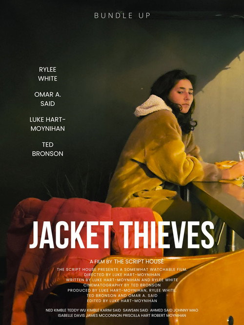 Movie poster for Jacket Thieves