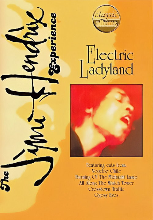 Movie poster for Jimi Hendrix: Electric Ladyland (2008)