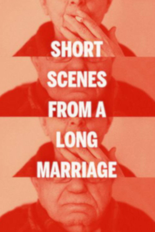 Movie poster for Short Scenes from a Long Marriage (2011)