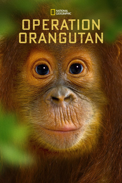 Movie poster for Operation Orangutan (2015)