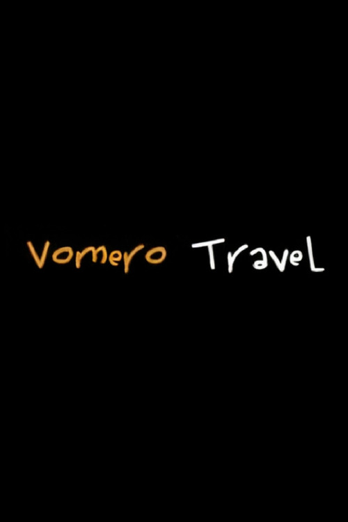 Movie poster for Vomero Travel (2010)