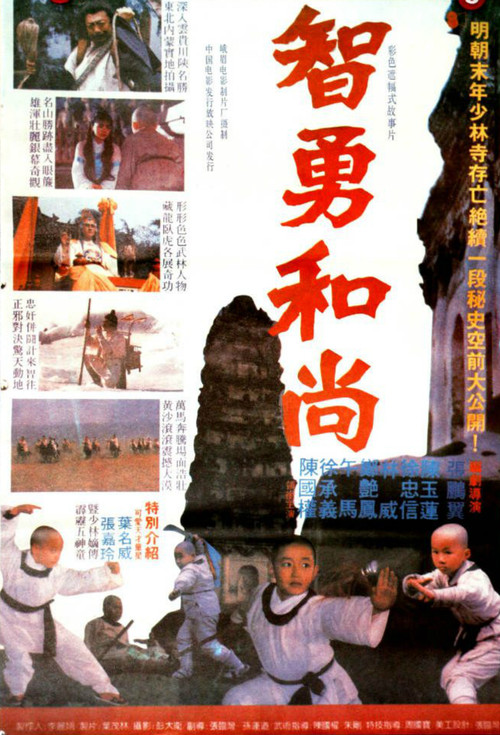 Movie poster for The Little Shaolin Monk (1991)
