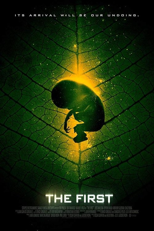 Movie poster for The First (2014)