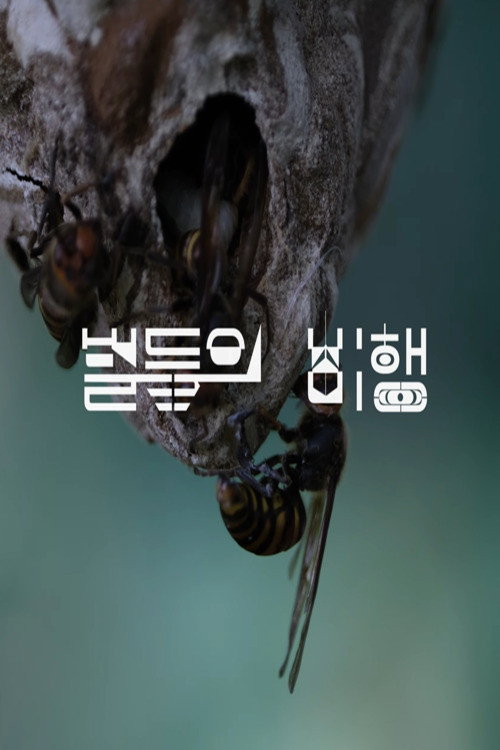 Movie poster for Hive (2024)
