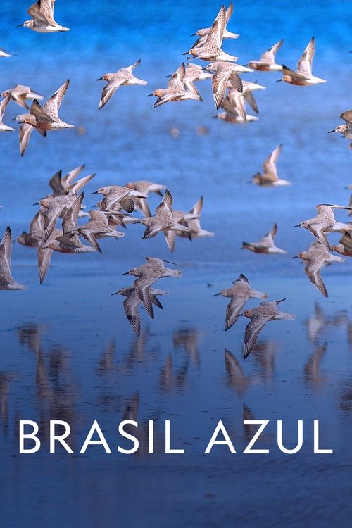 Movie poster for Blue Brazil (2022)