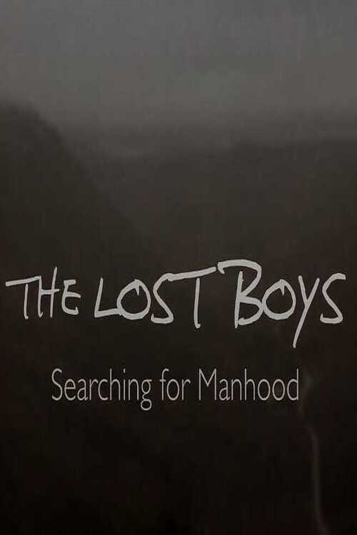 Movie poster for The Lost Boys: Searching for Manhood (2024)