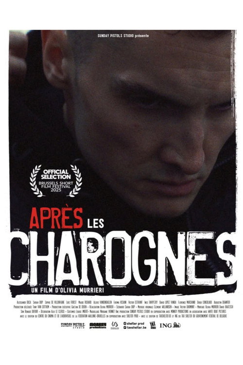 Movie poster for Après les charognes (2025)