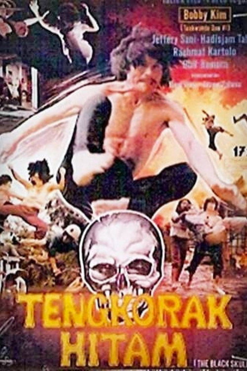 Movie poster for The Black Skull (1978)