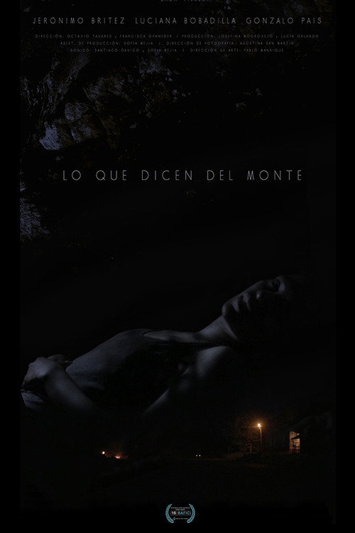Movie poster for Lo que dicen del monte (2014)
