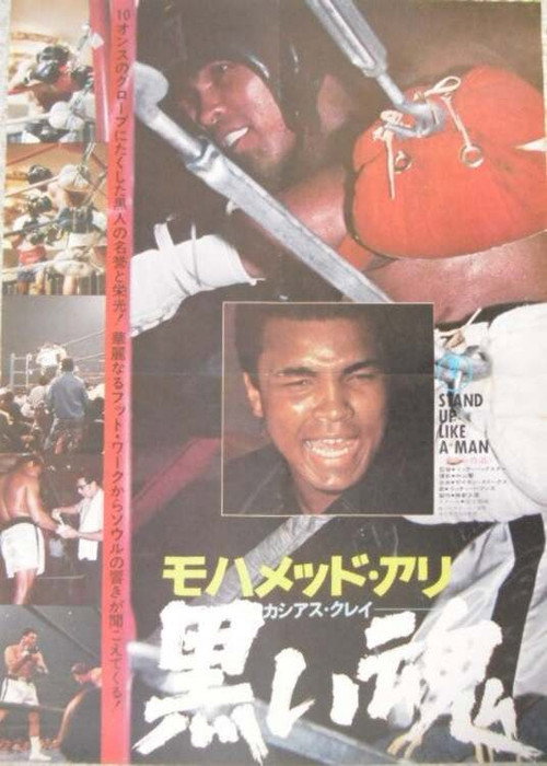 Movie poster for Black Soul (1974)