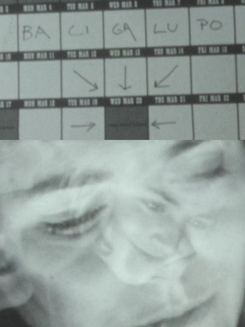 Movie poster for Lingue di luce – M. Bacigalupo racconta il suo cinema (2025)