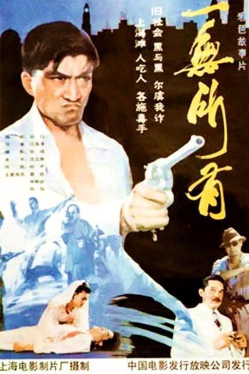 Movie poster for Black Puma (1989)