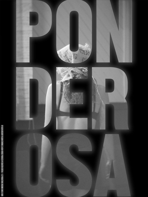 Movie poster for Ponderosa (2019)